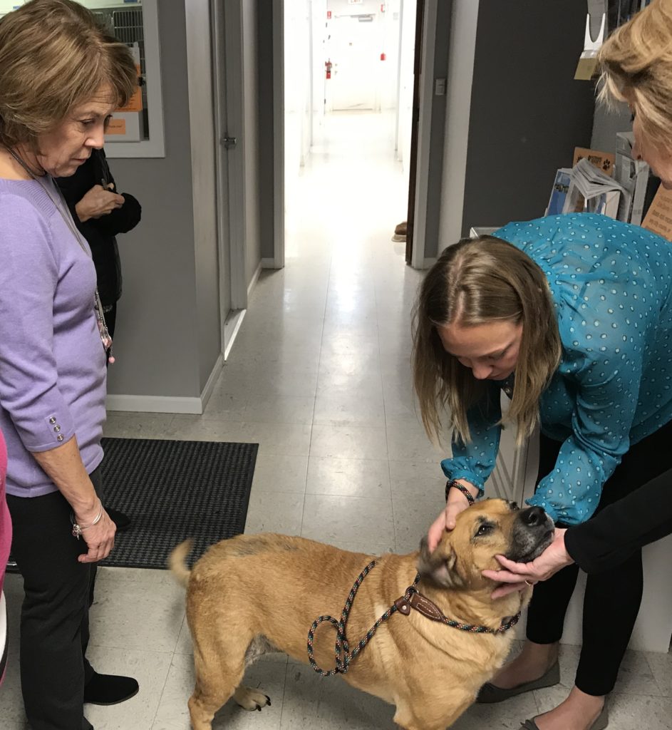 Pictured: Melissa with one of the shelter pets ready for adoption!